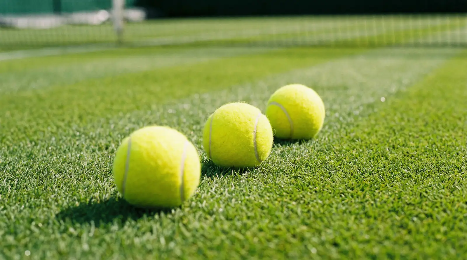 Wimbledon Kombiwetten mit Chance und Risiko abwägen